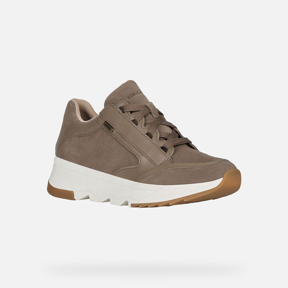 Geox Bayan Spor Ayakkabı Koyu Bej Rengi - Falena Abx - CAZ-856491